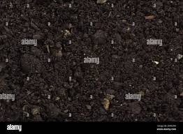 Organic Manure